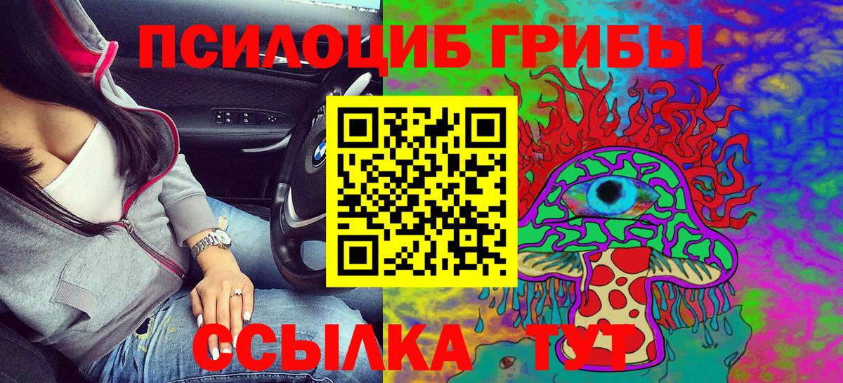 Галлюциногенные грибы Psilocybine cubensis  Вход с VPN  Калач-на-Дону  Псилоцибиновые грибы прущие грибы 